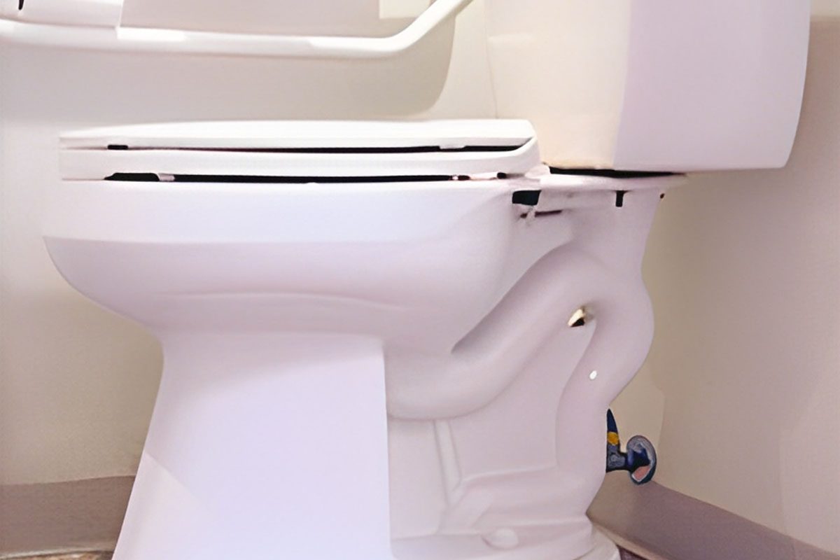 Side view of a white toilet with a raised lid and an accessibility grab bar mounted on the wall behind it.