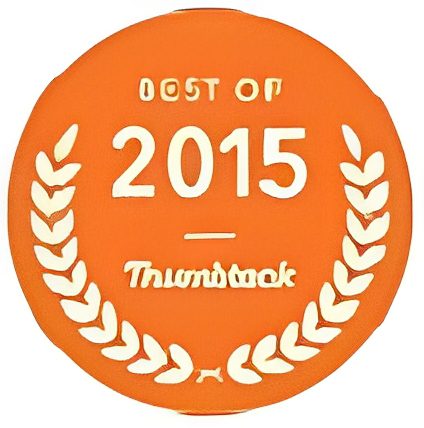 0e3178a8-95f4-4eb1-93ba-01cb968a8f5d Orange circular badge with "Best of 2015" and "Thumbtack" text, adorned with laurel branches.